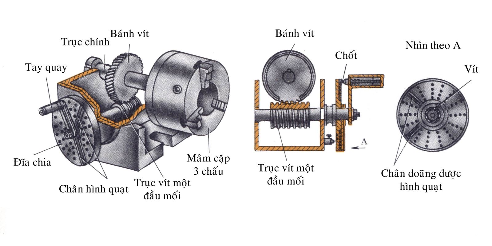 Cau tao dau chia do